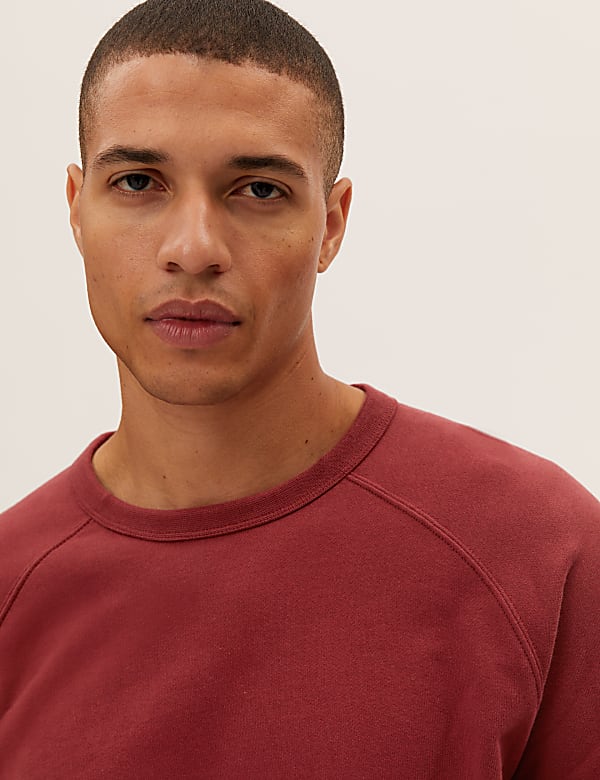 Pure Cotton Raglan Crew Neck Sweatshirt