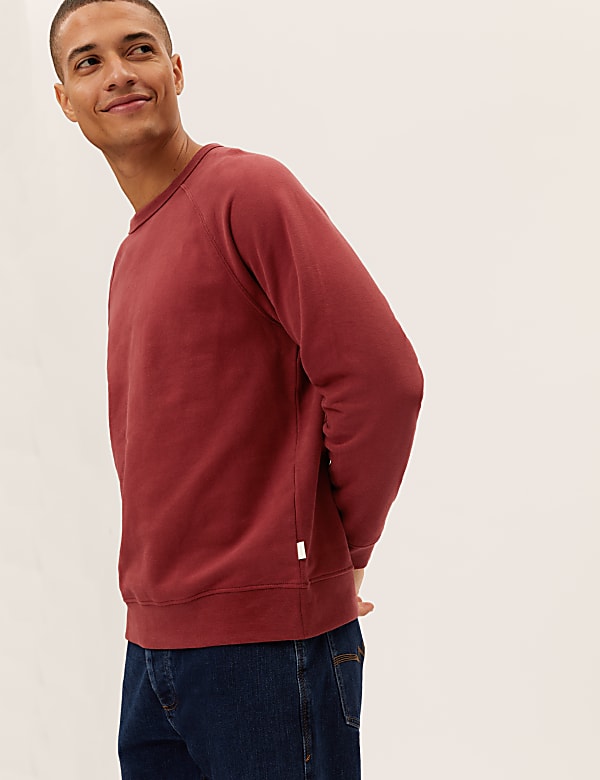Pure Cotton Raglan Crew Neck Sweatshirt