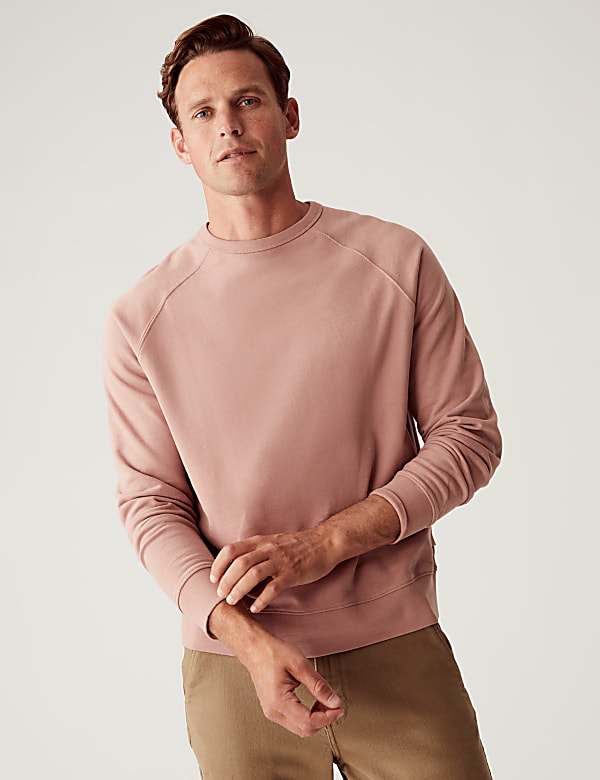 Pure Cotton Raglan Crew Neck Sweatshirt