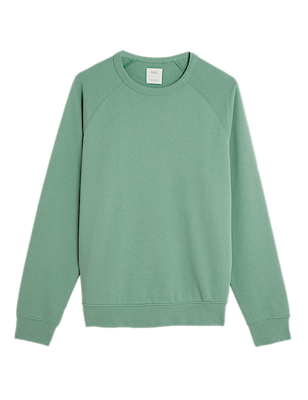 Pure Cotton Raglan Crew Neck Sweatshirt