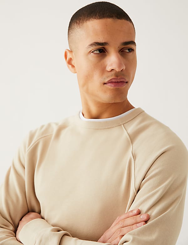 Pure Cotton Raglan Crew Neck Sweatshirt
