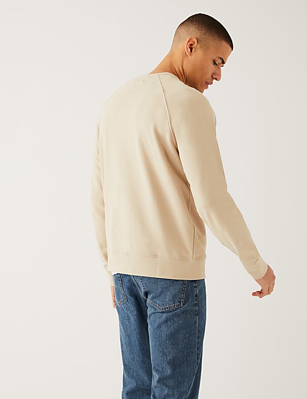Pure Cotton Raglan Crew Neck Sweatshirt