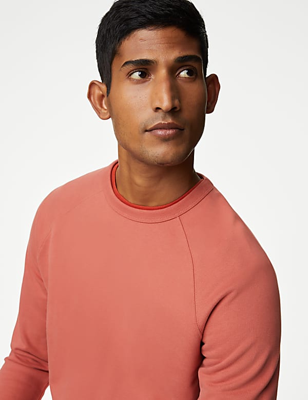 Pure Cotton Raglan Crew Neck Sweatshirt