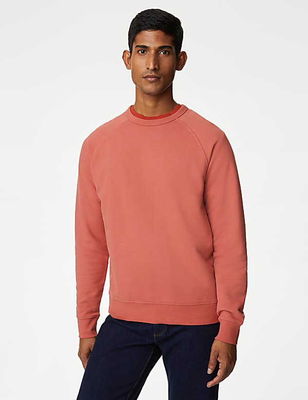 Pure Cotton Raglan Crew Neck Sweatshirt