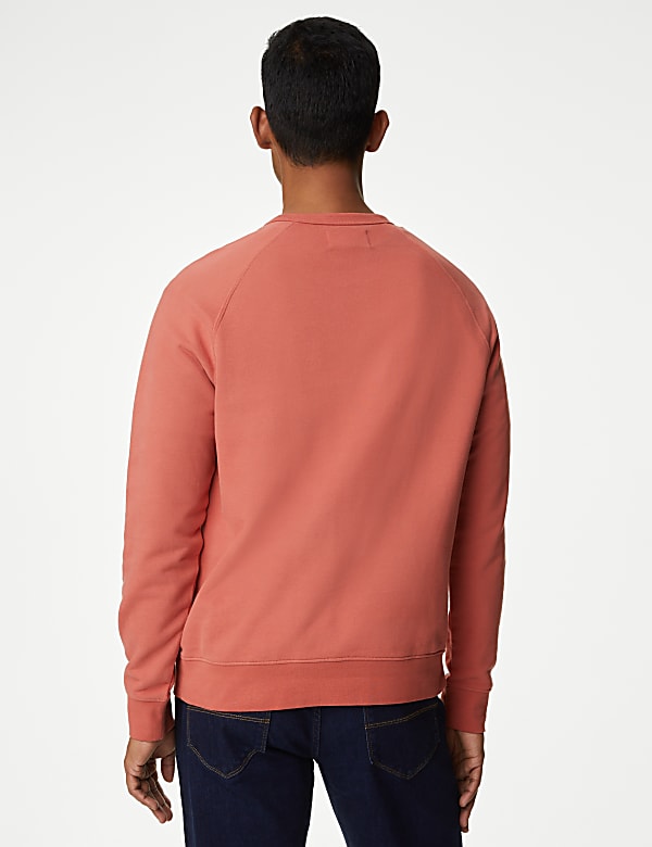Pure Cotton Raglan Crew Neck Sweatshirt