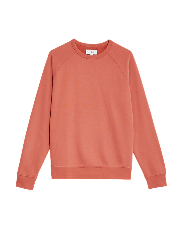 Pure Cotton Raglan Crew Neck Sweatshirt