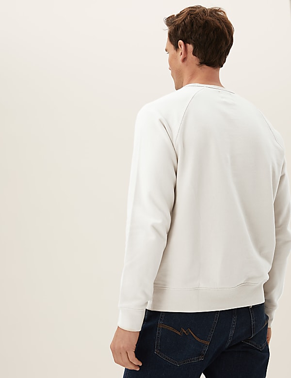 Pure Cotton Raglan Crew Neck Sweatshirt