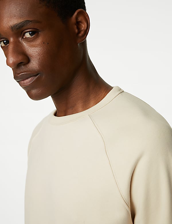 Pure Cotton Raglan Crew Neck Sweatshirt