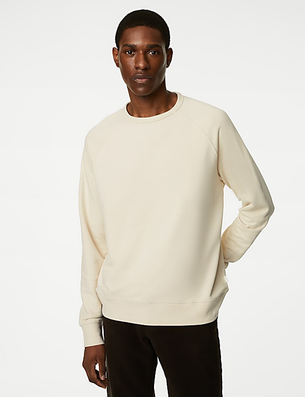 Pure Cotton Raglan Crew Neck Sweatshirt