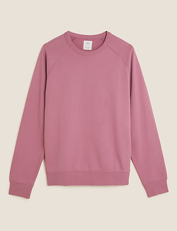 Pure Cotton Raglan Crew Neck Sweatshirt