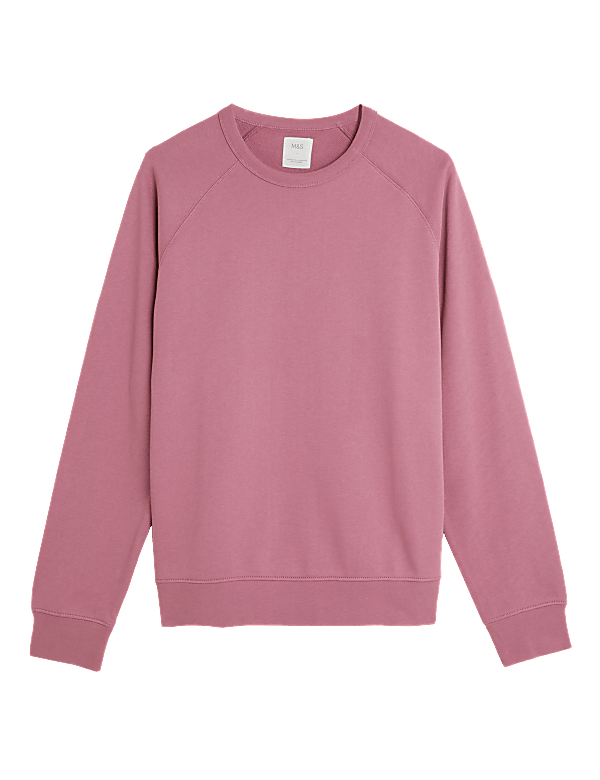 Pure Cotton Raglan Crew Neck Sweatshirt