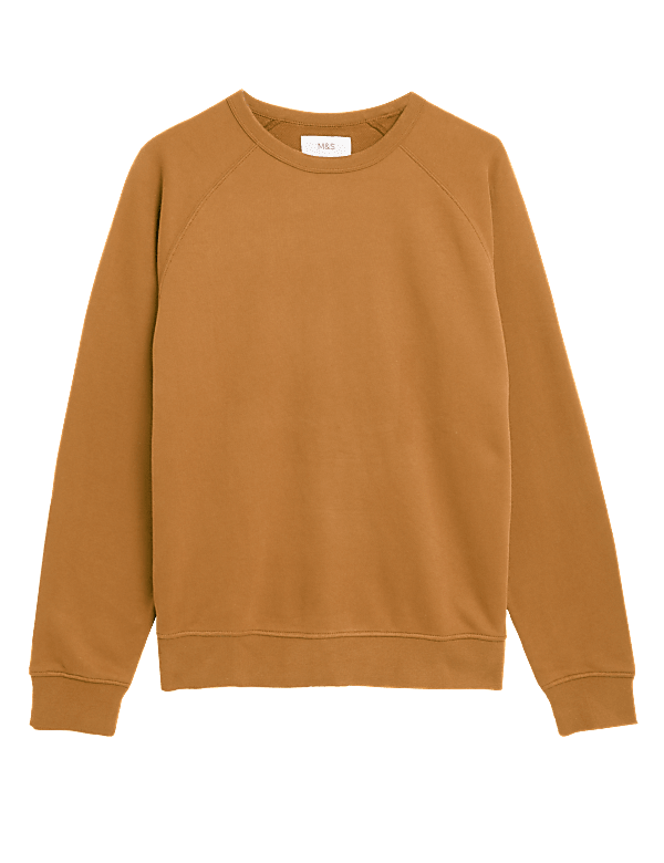 Pure Cotton Raglan Crew Neck Sweatshirt