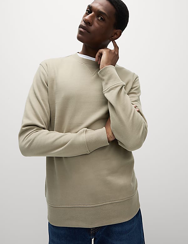 Pure Cotton Crew Neck Sweatshirt - EE