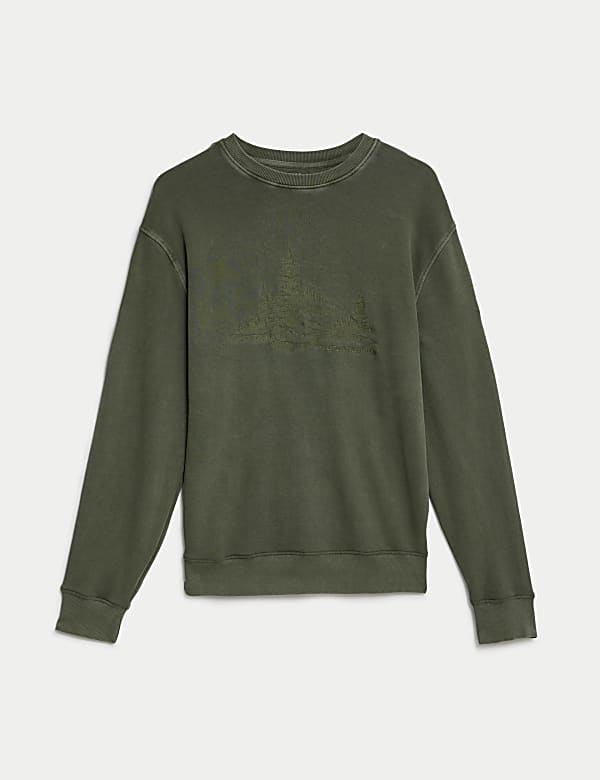 Pure Cotton Embroidered Graphic Sweatshirt - NL