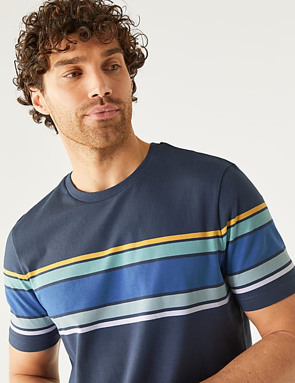 Pure Cotton Striped Crew Neck T-Shirt