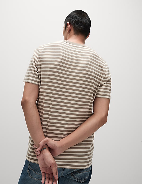 Regular Fit Crew Neck Striped T-Shirt
