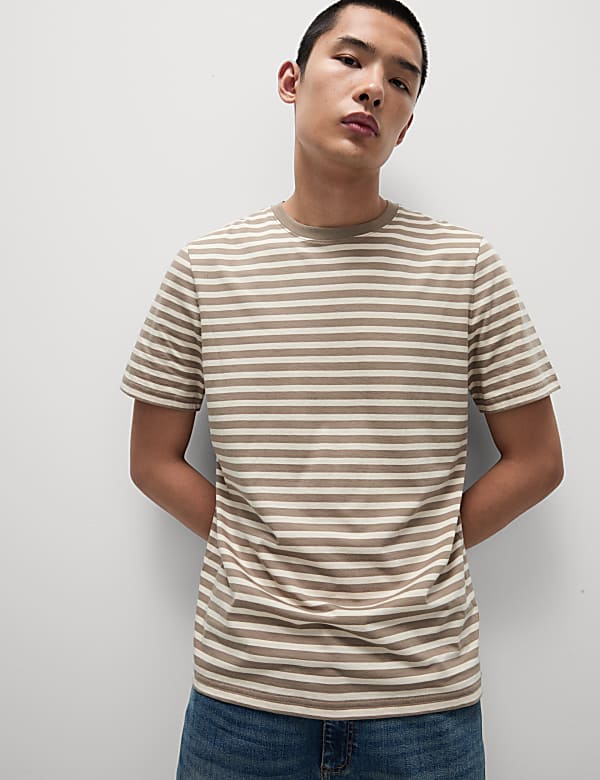 Regular Fit Crew Neck Striped T-Shirt