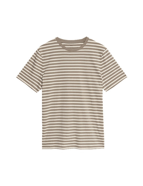 Regular Fit Crew Neck Striped T-Shirt