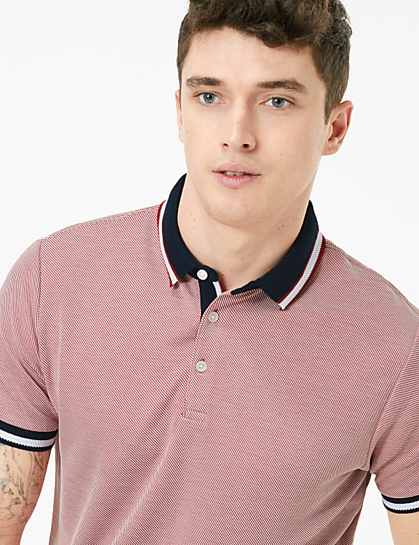 Modal Rich Tipped Polo Shirt