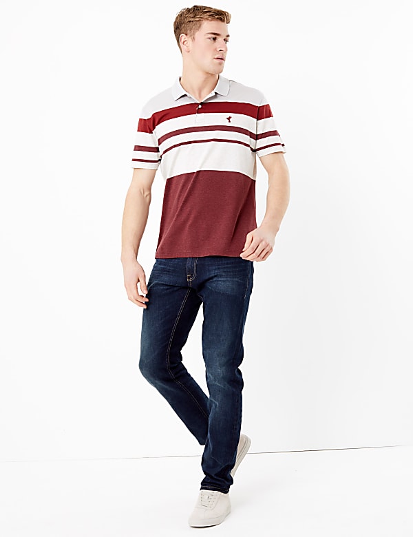 Cotton Striped Polo Shirt