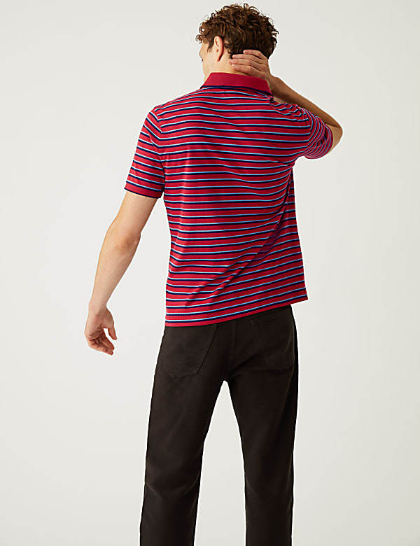 Pure Cotton Striped Polo Shirt