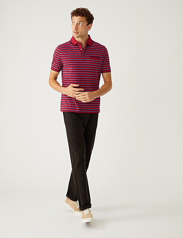 Pure Cotton Striped Polo Shirt