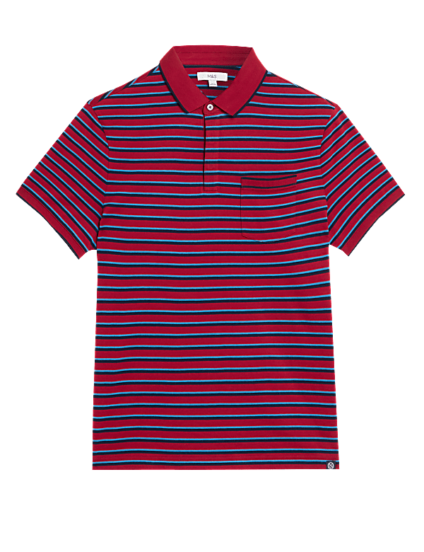 Pure Cotton Striped Polo Shirt