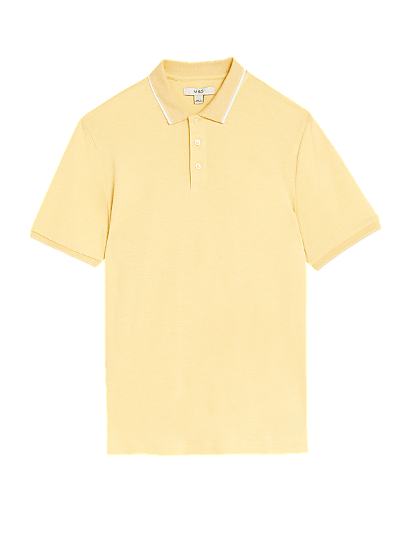 Modal Rich Tipped Collar Polo Shirt