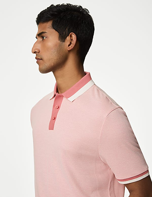 Tipped Polo Shirt