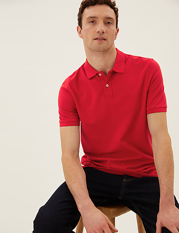 Pure Cotton Pique Regular Fit Polo Shirt - GR