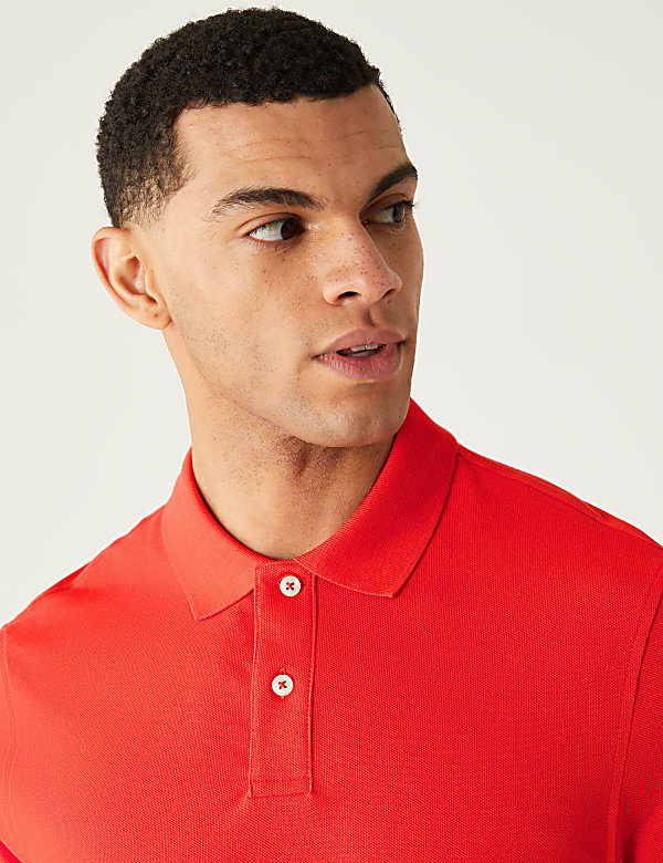 Pure Cotton Pique Regular Fit Polo Shirt