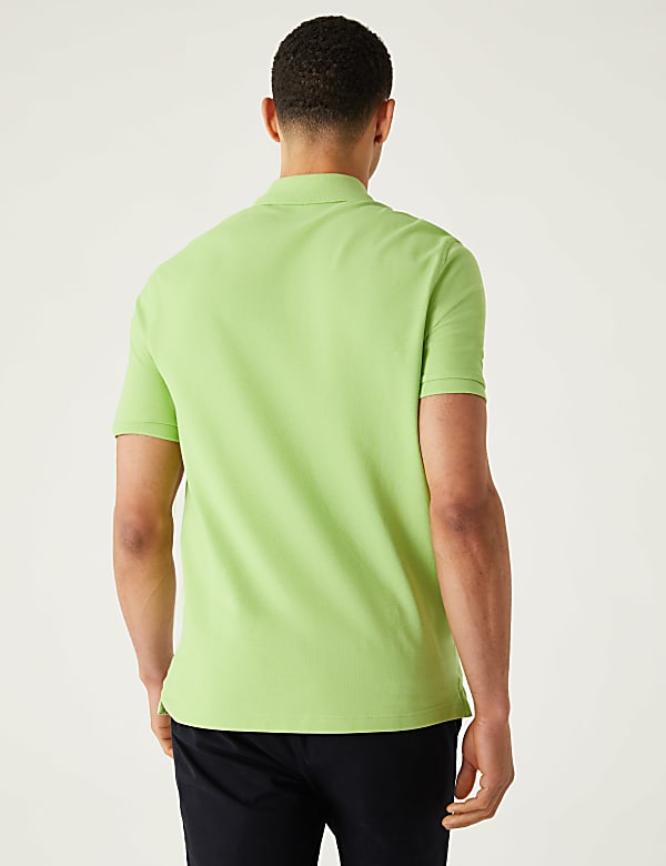 Pure Cotton Pique Regular Fit Polo Shirt