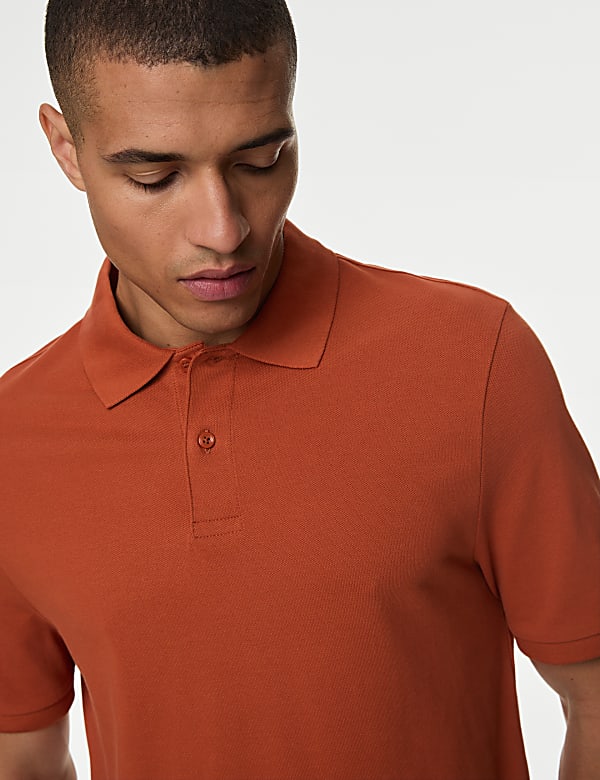 Pure Cotton Pique Regular Fit Polo Shirt