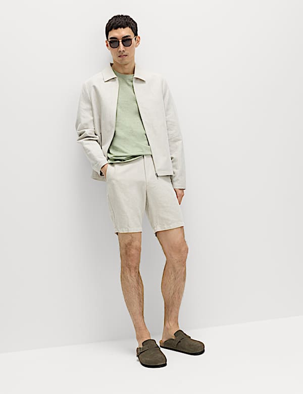 Regular Fit Pure Cotton Crew Neck T-Shirt