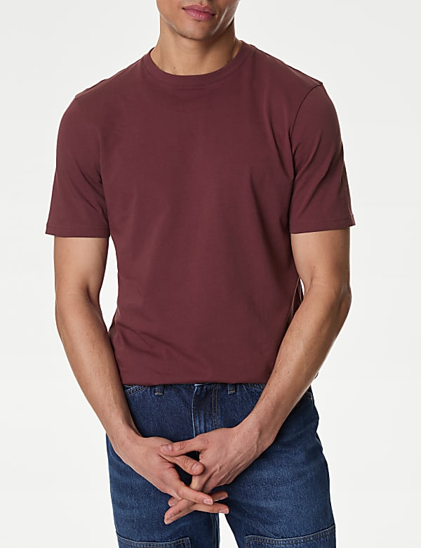 Regular Fit Pure Cotton Crew Neck T-Shirt
