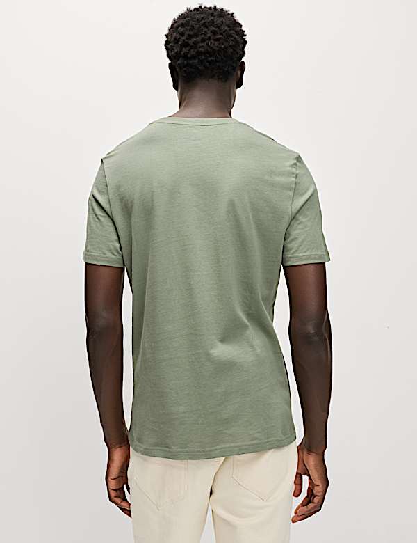 Regular Fit Pure Cotton Crew Neck T-Shirt - ES