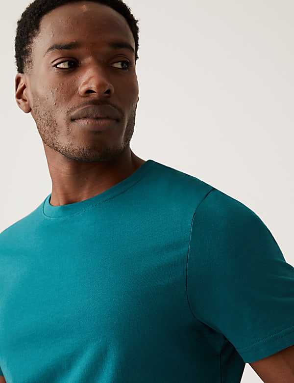 Regular Fit Pure Cotton Crew Neck T-Shirt