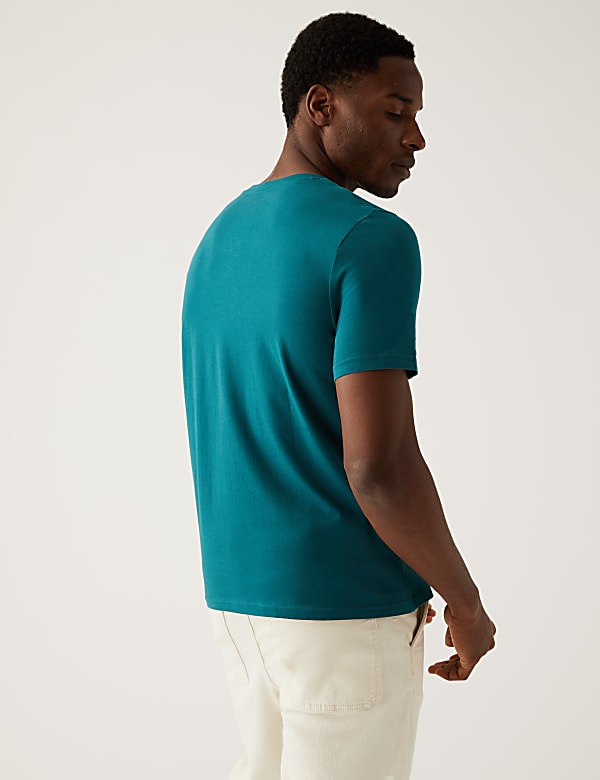 Regular Fit Pure Cotton Crew Neck T-Shirt