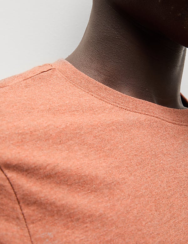 Regular Fit Pure Cotton Crew Neck T-Shirt