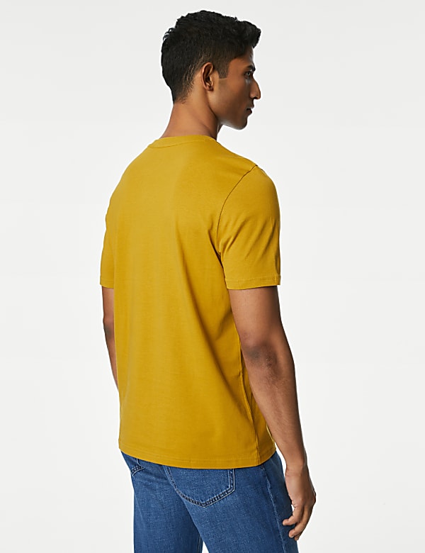 Regular Fit Pure Cotton Crew Neck T-Shirt