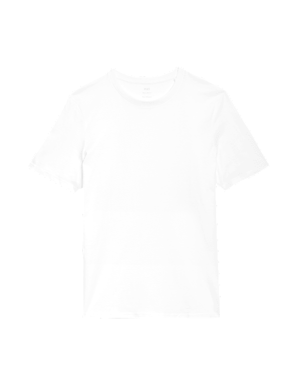 Regular Fit Pure Cotton Crew Neck T-Shirt