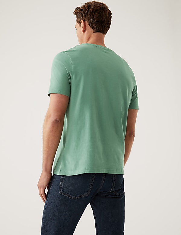 Regular Fit Pure Cotton Crew Neck T-Shirt