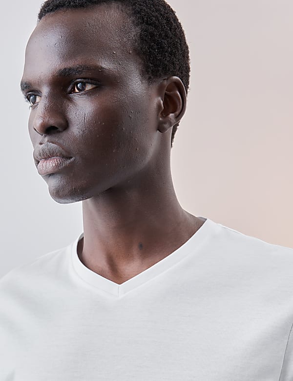 3pk Pure Supima® Cotton V-neck T-Shirts - SE