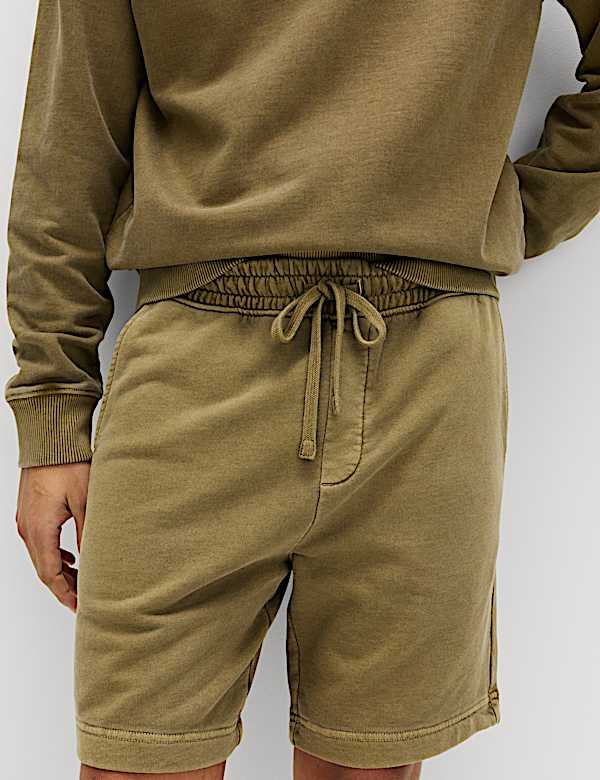 Polo 100 % coton teint en pi&egrave;ce coupe d&eacute;contract&eacute;e - BE