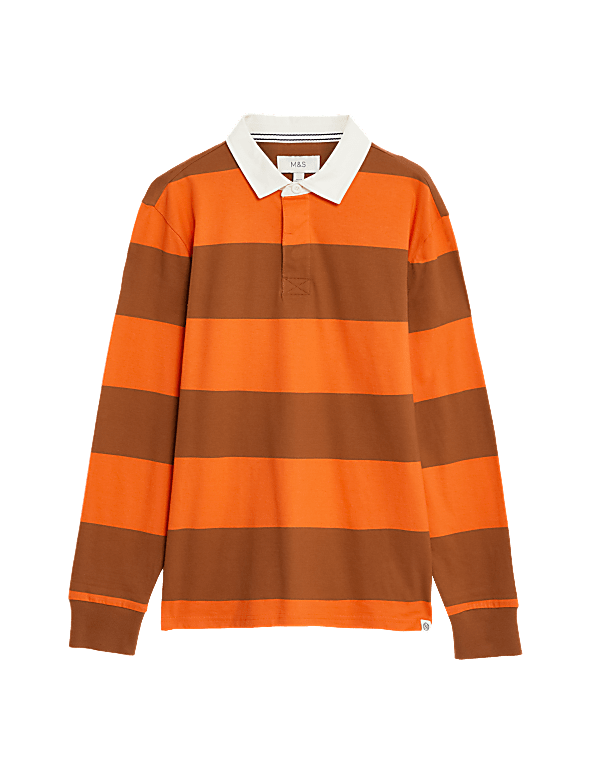 Regular Fit Pure Cotton Stripes Polo Collar Tshirt