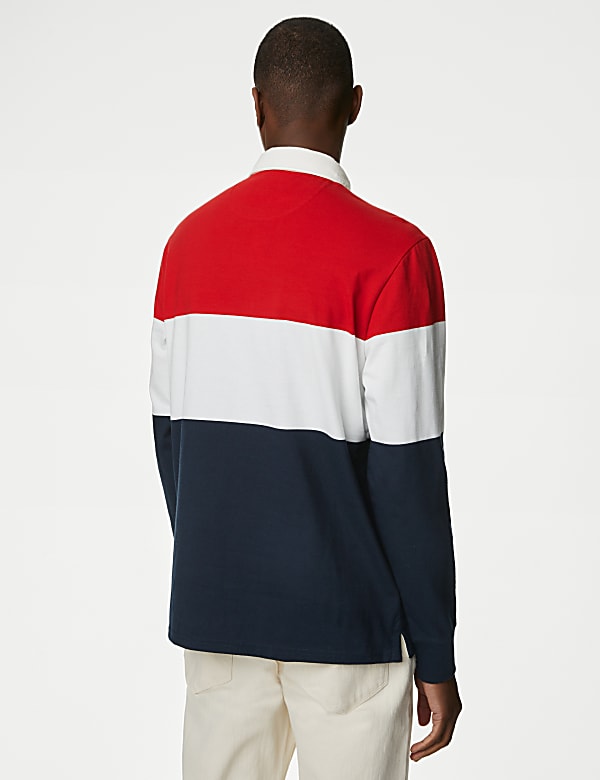 Regular Fit Pure Cotton Colorblocked Polo Collar Tshirt