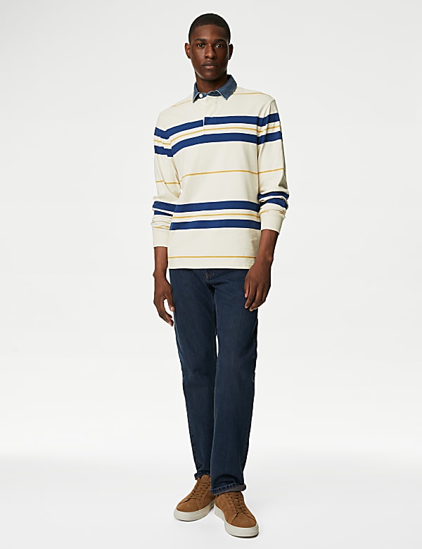Regular Fit Pure Cotton Stripes Polo Collar Tshirt