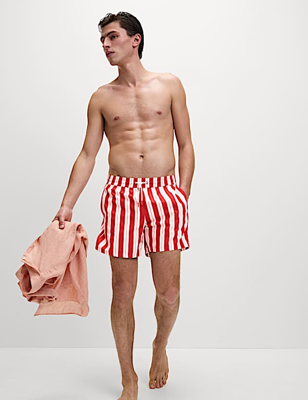 Quick Dry Deckchair Striped Swim Shorts - LV