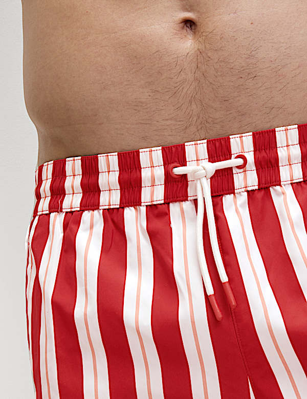 Quick Dry Deckchair Striped Swim Shorts - LV