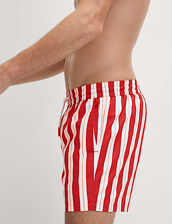 Quick Dry Deckchair Striped Swim Shorts - LV